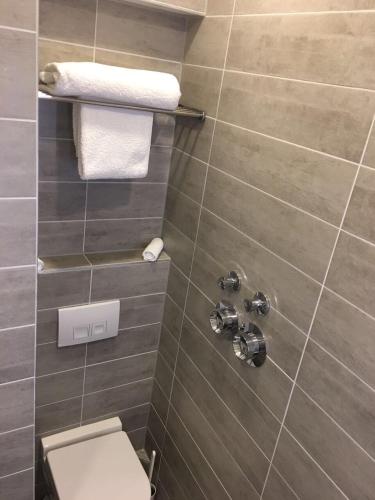 a bathroom with a shower with a toilet and towels at L-DOM in Metzingen