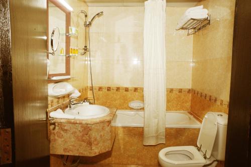 a bathroom with a sink and a toilet and a shower at Al Jazeera Royal Hotel in Abu Dhabi
