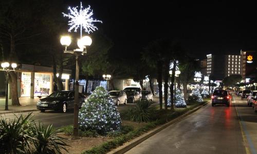 a street at night with christmas trees and cars at Apartments Morski Svet Portorož in Portorož
