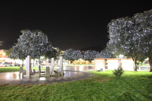 a group of trees with lights in a park at night at Apartments Morski Svet Portorož in Portorož
