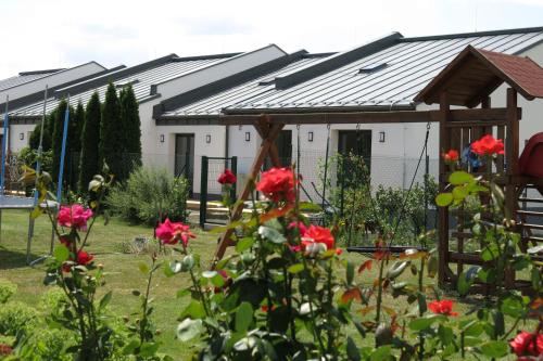 Zahrada ubytování Scandic apartmany