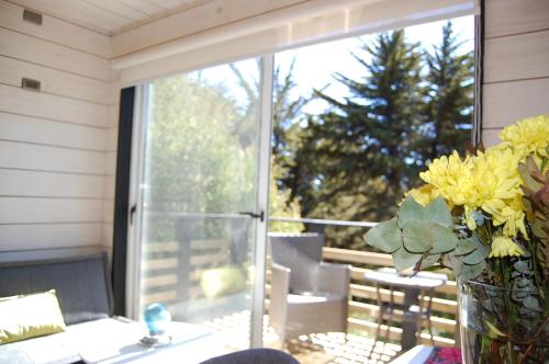 a vase of yellow flowers sitting on a table next to a window at Cabaña del Bosque in Pichilemu