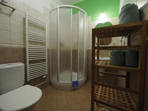 ein Bad mit einer Dusche und einem WC. in der Unterkunft Penzion U Krejzů in Dolní Poustevna