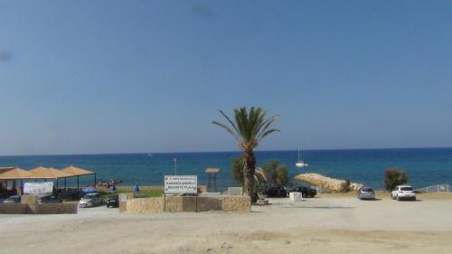 a beach with a palm tree and the ocean at Magic Beach Apartments in Kérynia
