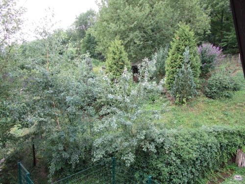 a garden with bushes and trees and a fence at Ferienwohnungen am Wald in Lieser