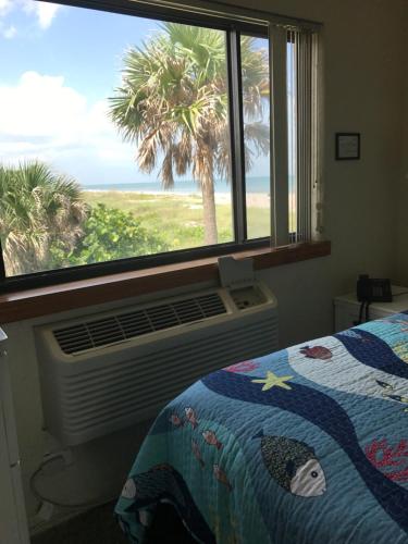 a bedroom with a window with a view of a palm tree at South Beach Inn - Cocoa Beach in Cocoa Beach
