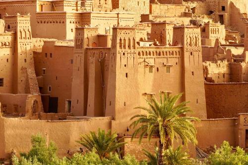 a view of a desert city with a palm tree at Dar Mouna in Aït Ben Haddou