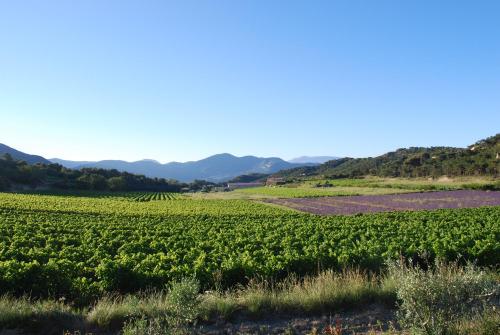 Domaine de Provensol – Photos 4