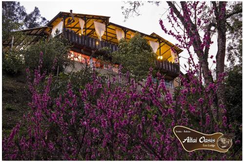 Gallery image of Altai Oasis Lodge in Sorata