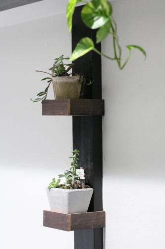 a wooden plant stand with two potted plants on it at GUEST HOUSE E-NINE in Kyoto