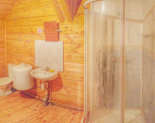 uma casa de banho com um chuveiro e um lavatório. em Pas Medžiotoją Motelis em Kryžkalnis