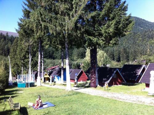 a woman sitting on a blanket in the grass next to trees at Vila Bratocea in Cheia