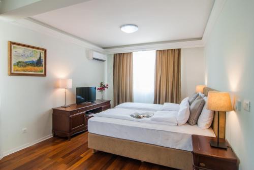 une chambre d'hôtel avec un lit et une télévision dans l'établissement Vila Opera, à Vrnjačka Banja