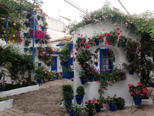 Patio San Lorenzo