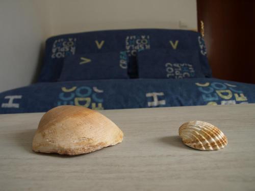 a table with a loaf of bread and a shell on it at Casa da Praia in Albufeira