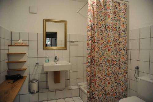 uma casa de banho com uma cortina de chuveiro e um lavatório em Weinloft Staufen em Staufen