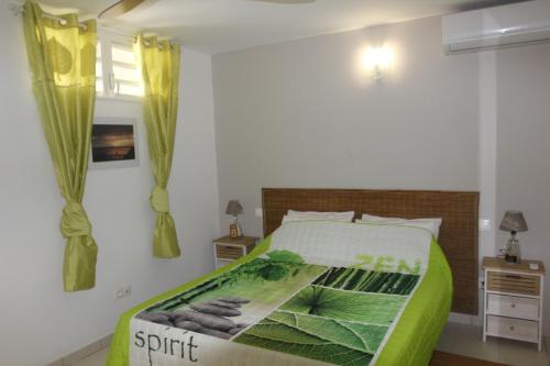 a bedroom with a bed with a green comforter at Plaisir de vivre - T2 Proche CHUM La Meynard in Fort-de-France