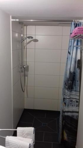 a bathroom with a shower with a glass door at Historisches Hotel Wildeshauser Bahnhof in Wildeshausen