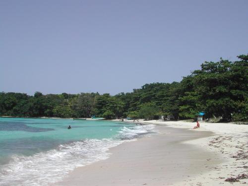 a beach with people in the water and trees at Moon San Villa at the Blue Lagoon in Port Antonio