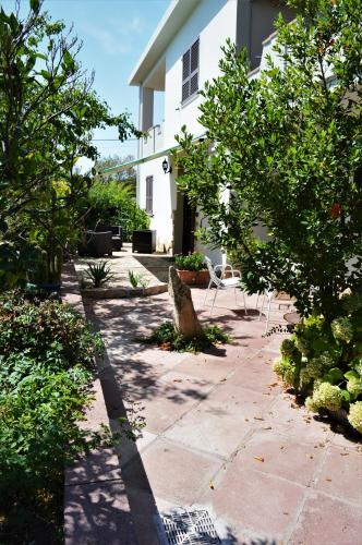 a patio with trees and a white house at B&B Gianni e Pia in Luogosanto
