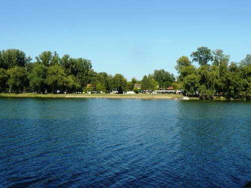 a large body of water with trees in the background at Angéla Vendegház in Tokaj