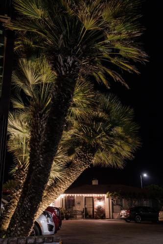 two palm trees in a parking lot at night at The Landing at Morro Bay in Morro Bay
