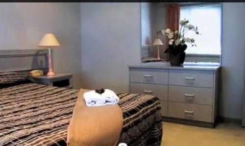 a bedroom with a bed and a cat sitting on a chair at Clayton Monash Motor Inn & Serviced Apartments in Clayton North