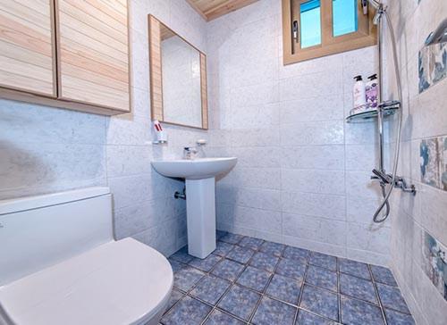 a bathroom with a white toilet and a sink at Dongbackdongsan Pension in Jeju
