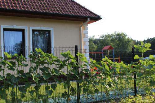 Zahrada ubytování Bukowa Przystań Barlinek