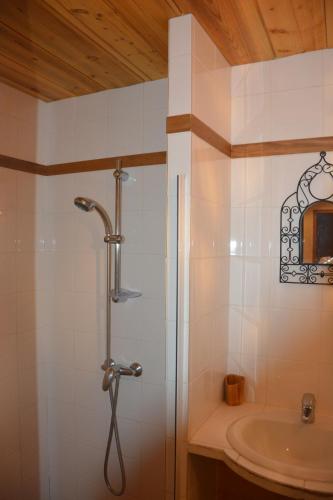 a bathroom with a shower and a sink at Chalet des Trappeurs Coeur Vanoise 15 persons in Champagny-en-Vanoise