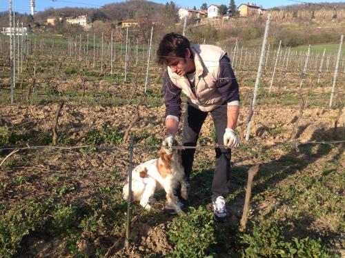 a woman with a dog in a vineyard at Azienda Agricola Garoglio Davide in Alfiano Natta