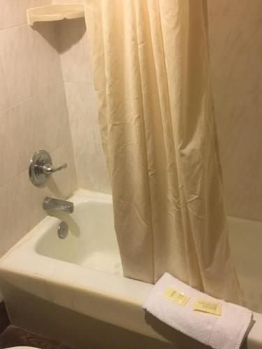 Koupelna v ubytování Valuelodge Busch Gardens - Tampa