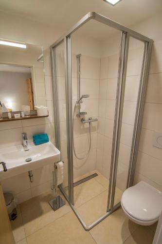 a bathroom with a shower and a toilet and a sink at Triebenerhof in Trieben