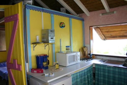 a kitchen with a counter top with a microwave at Gîtes Alamanda in Bouillante