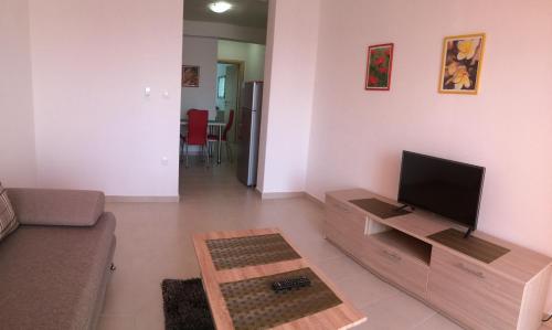 a living room with a couch and a television at Apartments Nevenka i Josko in Tučepi