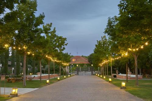 a pathway with lights in a park at night at Hacienda Zorita Wine Hotel & Spa in Valverdón
