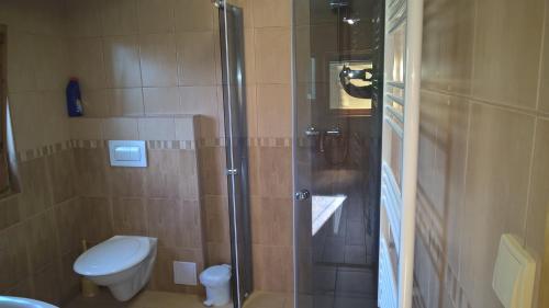 a bathroom with a shower with a toilet and a sink at Chata Nový Přerov in Nový Přerov