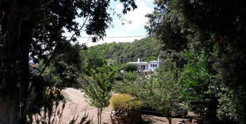 Příroda nedaleko apartmánu
