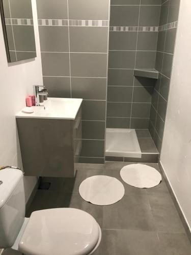 ビュニエヴィルにあるPetite maison indépendanteのバスルーム(トイレ、シンク、白いマット2枚付)
