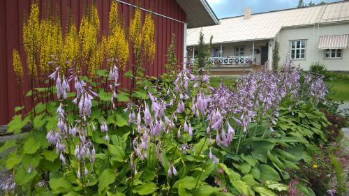 a garden with purple flowers next to a red barn at Tohninmäen Talo in Töysä