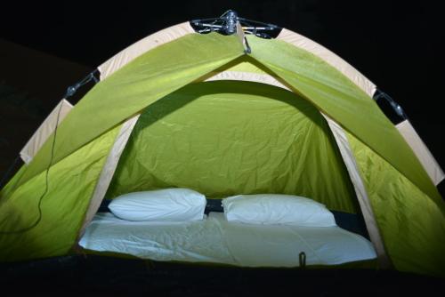 a green tent with a bed in it at Bedouin Oasis Desert Camp- Ras Al Khaimah in Ras al Khaimah