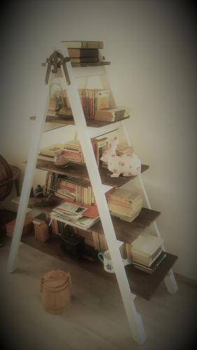 a book shelf filled with books in a room at Frăgăria in Zimandcuz