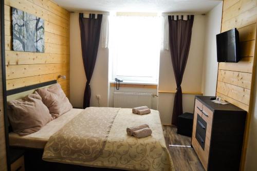 a bedroom with a bed with a television and a window at Hotel Krakonos in Rokytnice nad Jizerou