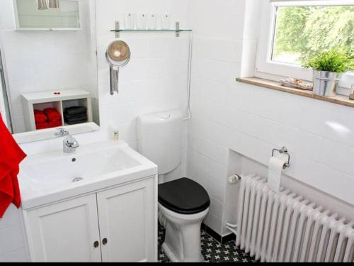 a white bathroom with a toilet and a sink at Dat Ferienhus in Bad Zwischenahn