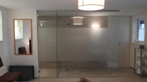 a shower with a glass door in a bathroom at Studio Hofer in Bad Zell