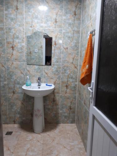 a bathroom with a sink and a mirror at Guesthouse Luka in Martvili