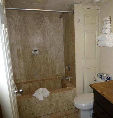 a bathroom with a shower with a toilet and a tub at Suites at Villa Del Palmar Cabo San Lucas Beach Resort and Spa in Cabo San Lucas