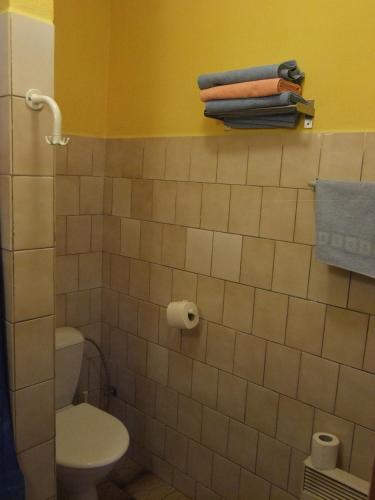 a bathroom with a toilet and towels on a shelf at Hotel Formule in Děčín