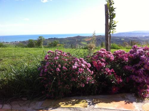Gallery image of Villa Polercia in Cupello