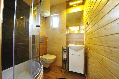 a bathroom with a toilet and a sink and a shower at Domki nad Soliną 665-189-444 in Solina